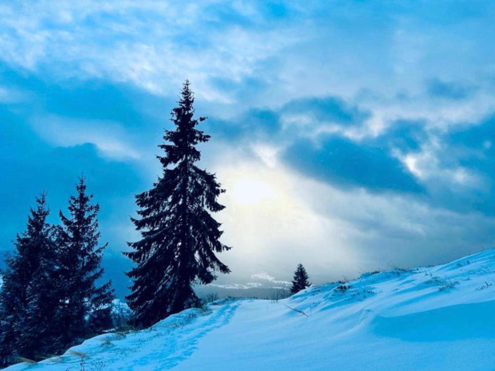 Tiarra Mountain Lodge Beliş المظهر الخارجي الصورة