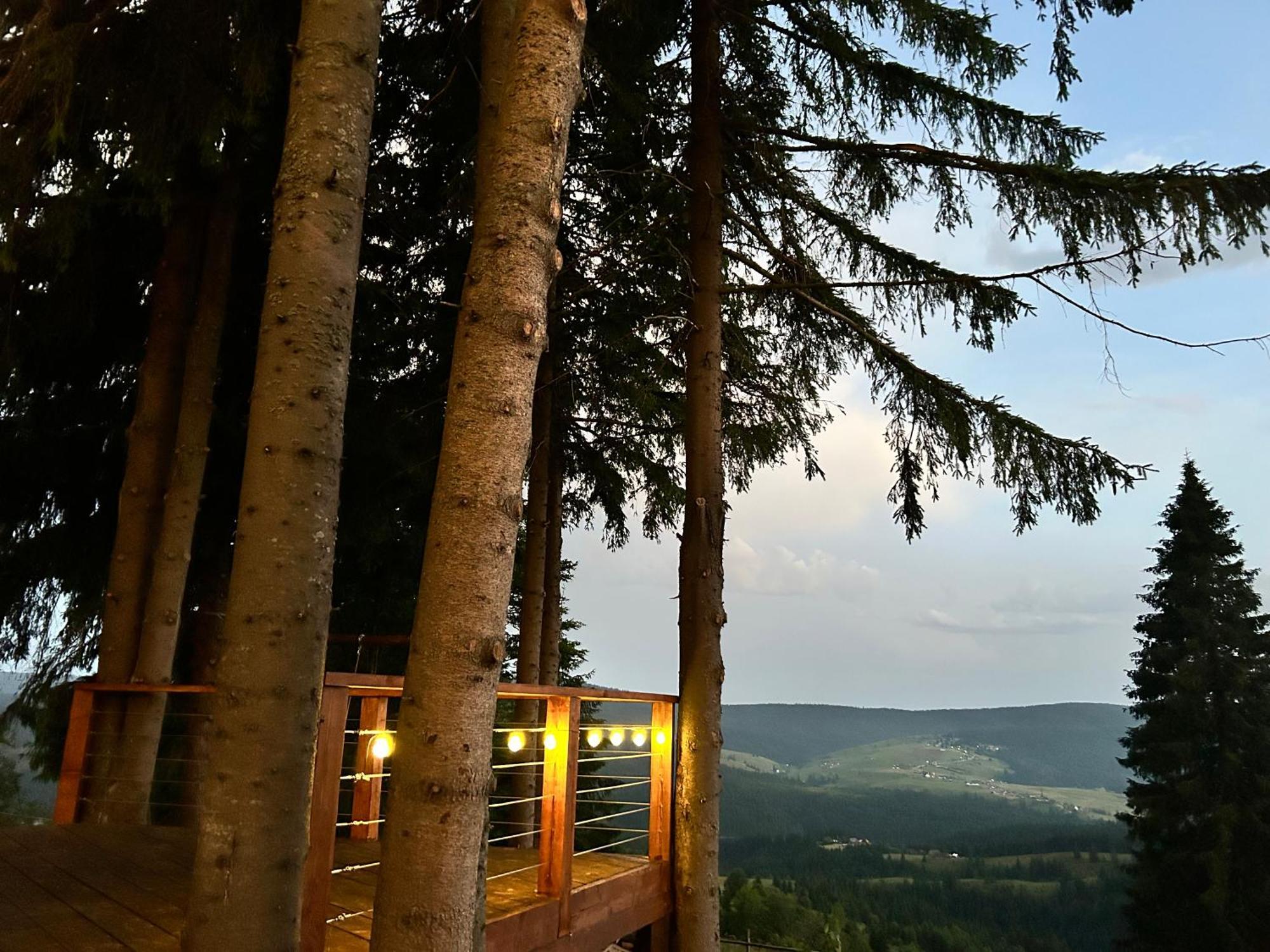 Tiarra Mountain Lodge Beliş المظهر الخارجي الصورة