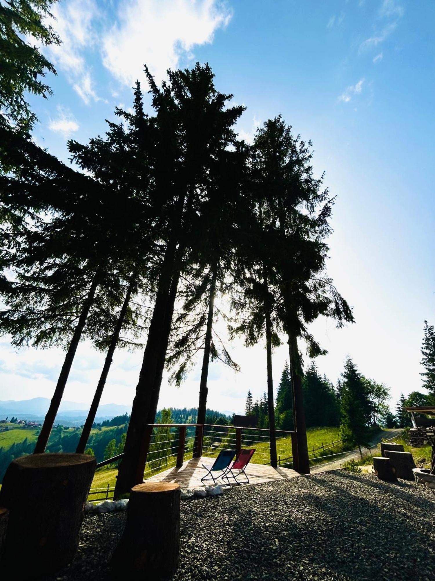 Tiarra Mountain Lodge Beliş المظهر الخارجي الصورة